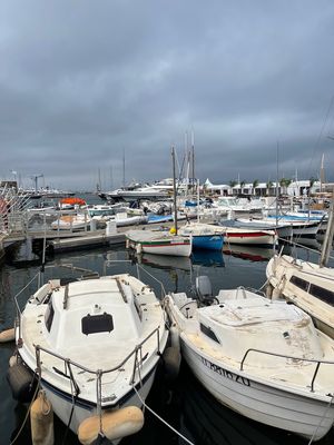IMG_4462.jpg