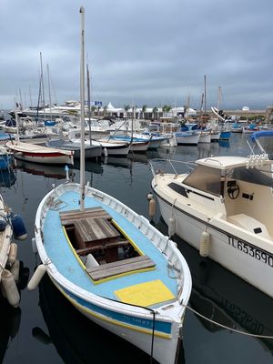 IMG_4463.jpg
