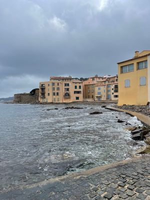IMG_4471.jpg