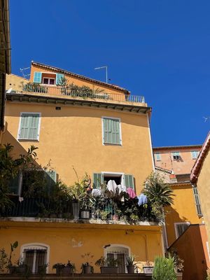 IMG_4573.jpg