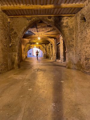 IMG_4575.jpg