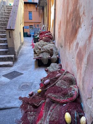 IMG_4576.jpg