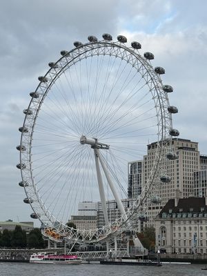 IMG_4767.jpg