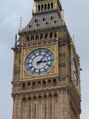 IMG_4781.jpg