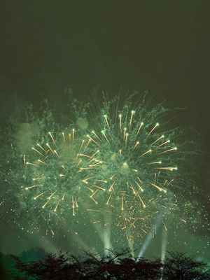 IMG_4990.jpg