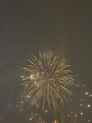 IMG_4995.jpg