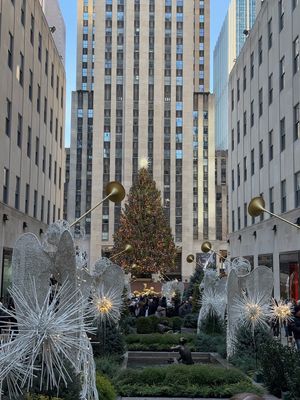 IMG_5483.jpg