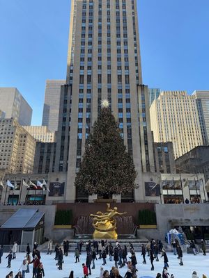 IMG_5487.jpg