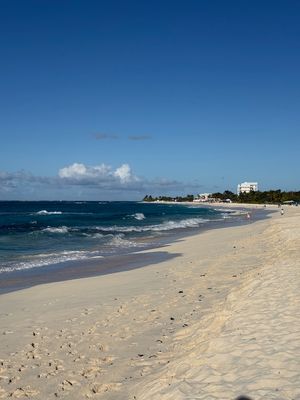 IMG_6237.jpg