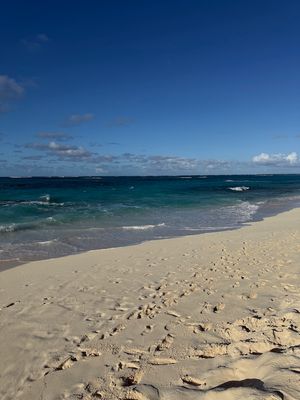 IMG_6239.jpg