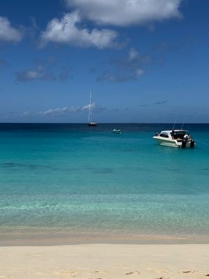 IMG_6308.jpg