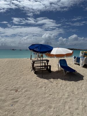 IMG_6336.jpg