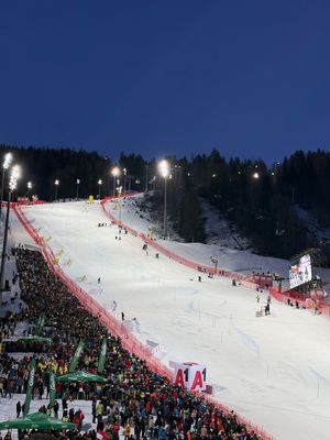 IMG_6037.jpg