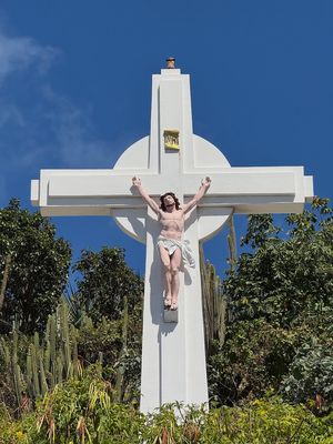IMG_6534.jpg