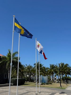 IMG_6591.jpg