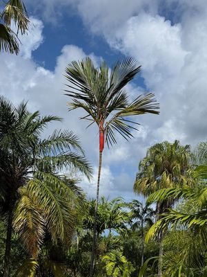 IMG_6641.jpg