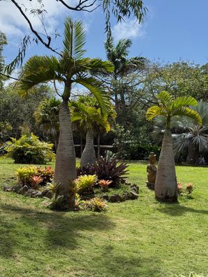 IMG_6654.jpg