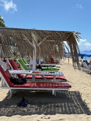 IMG_6666.jpg