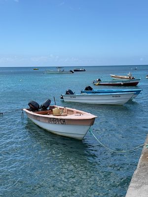 IMG_6704.jpg