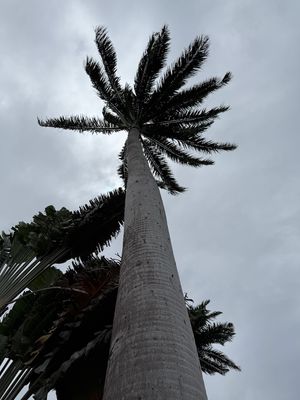 IMG_6744.jpg
