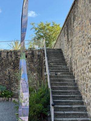 IMG_6770.jpg