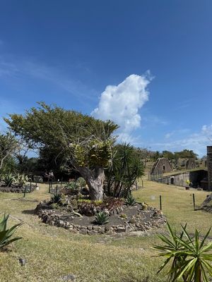 IMG_6797.jpg