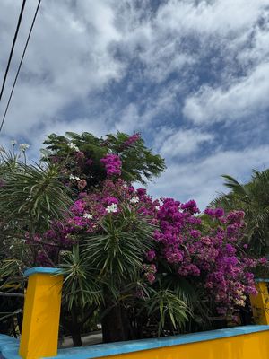 IMG_6826.jpg