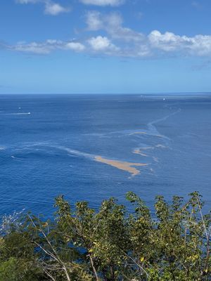 IMG_6910.jpg