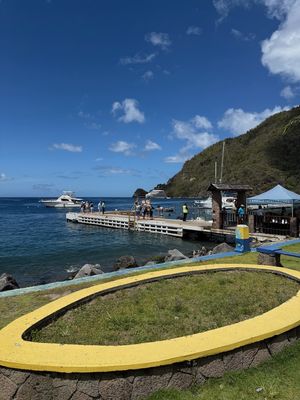 IMG_6911.jpg