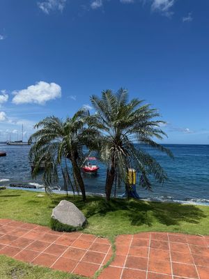 IMG_6912.jpg
