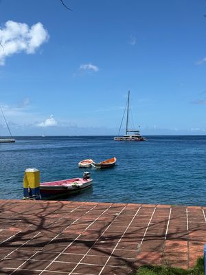 IMG_6913.jpg