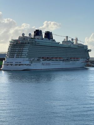 IMG_6980.jpg