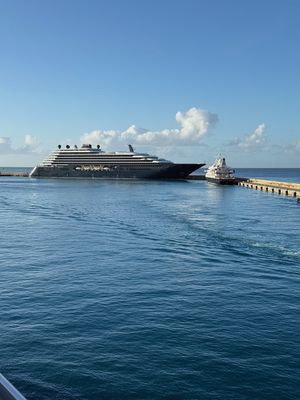 IMG_6982.jpg