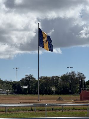 IMG_6984.jpg