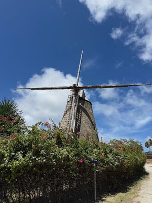 IMG_7005.jpg
