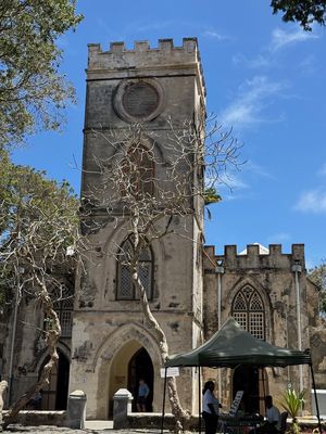 IMG_7019.jpg