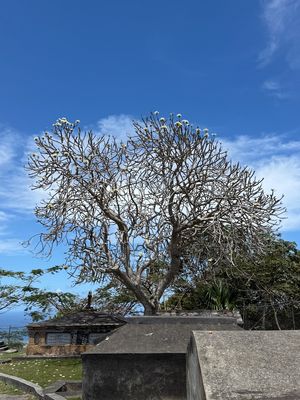 IMG_7026.jpg