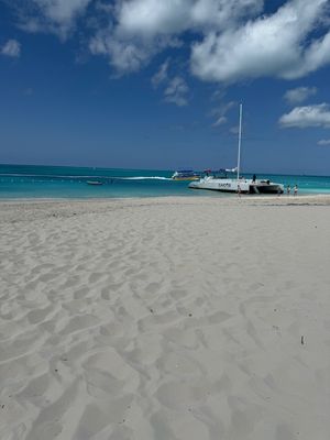 IMG_7068.jpg