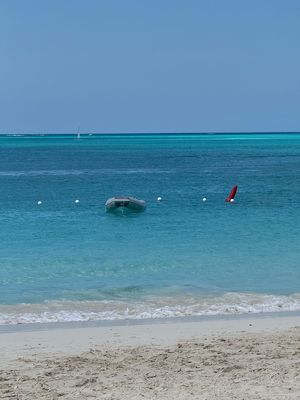 IMG_7072.jpg