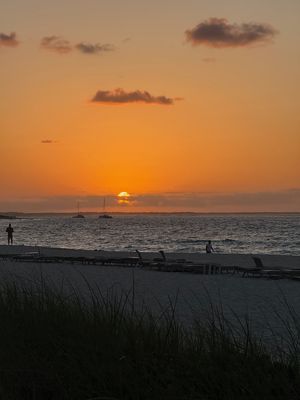 IMG_7122.jpg