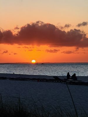 IMG_7163.jpg