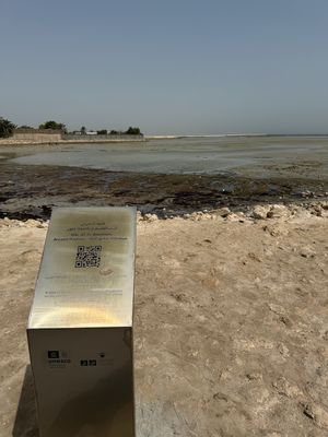 IMG_7495.jpg