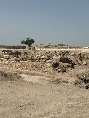 IMG_7497.jpg
