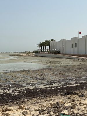 IMG_7499.jpg