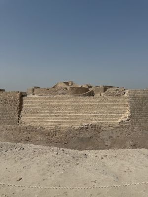 IMG_7504.jpg
