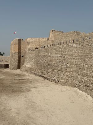 IMG_7509.jpg
