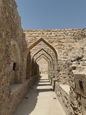 IMG_7510.jpg