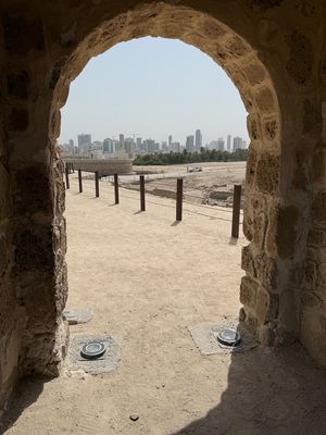 IMG_7515.jpg
