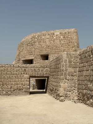 IMG_7516.jpg