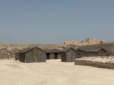 IMG_7521.jpg